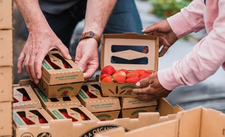 Packaging Innovation: China’s Bet on Advanced Chip Assembly