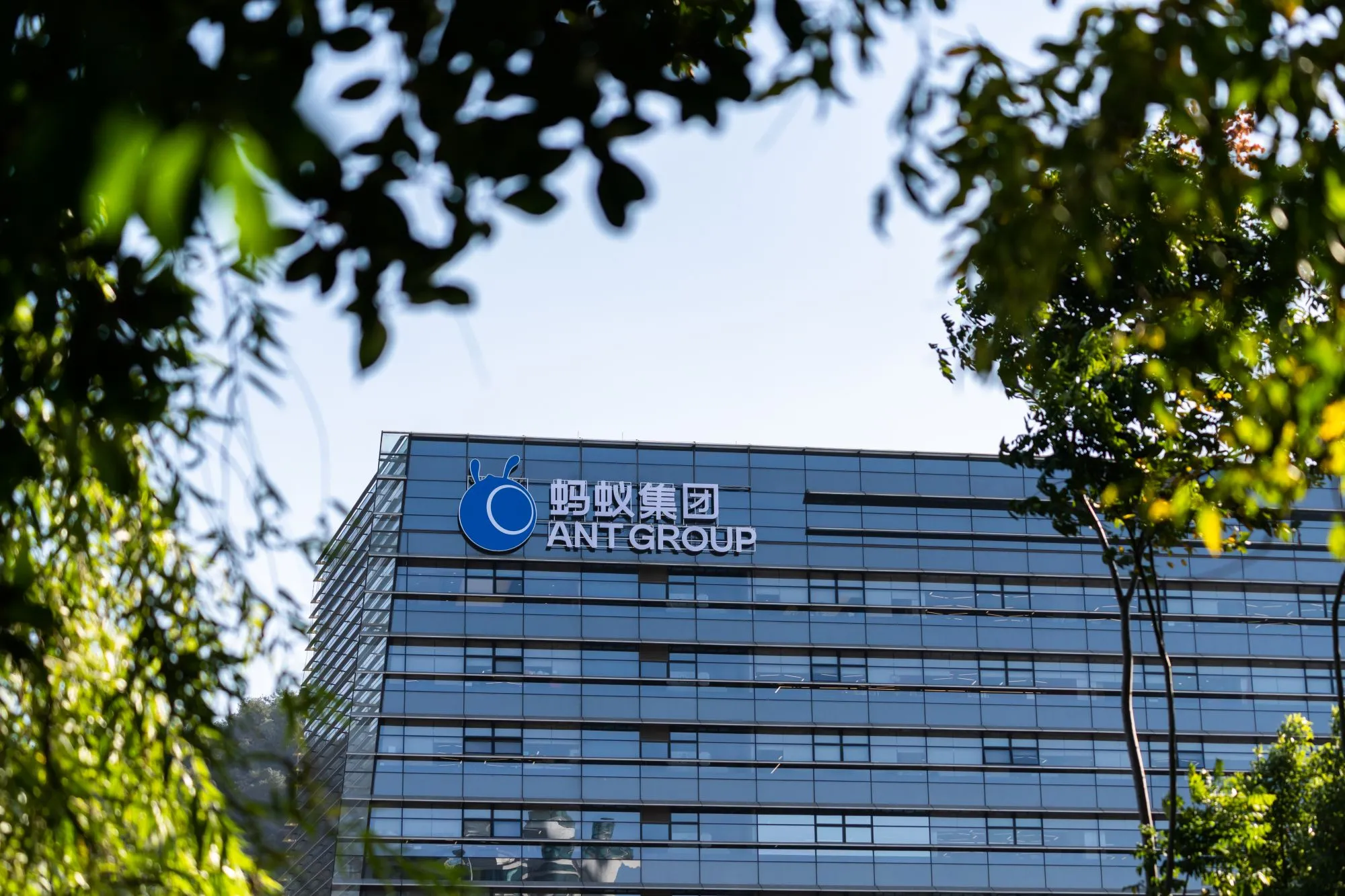 Ant Group’s Leadership in Fintech Innovation: Pioneering Digital Finance in China
