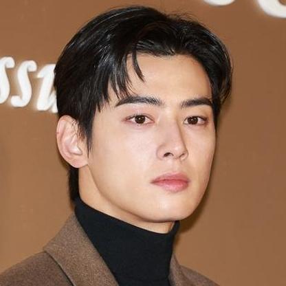 Cha Eun-woo: The Face of Modern Korean Stardom