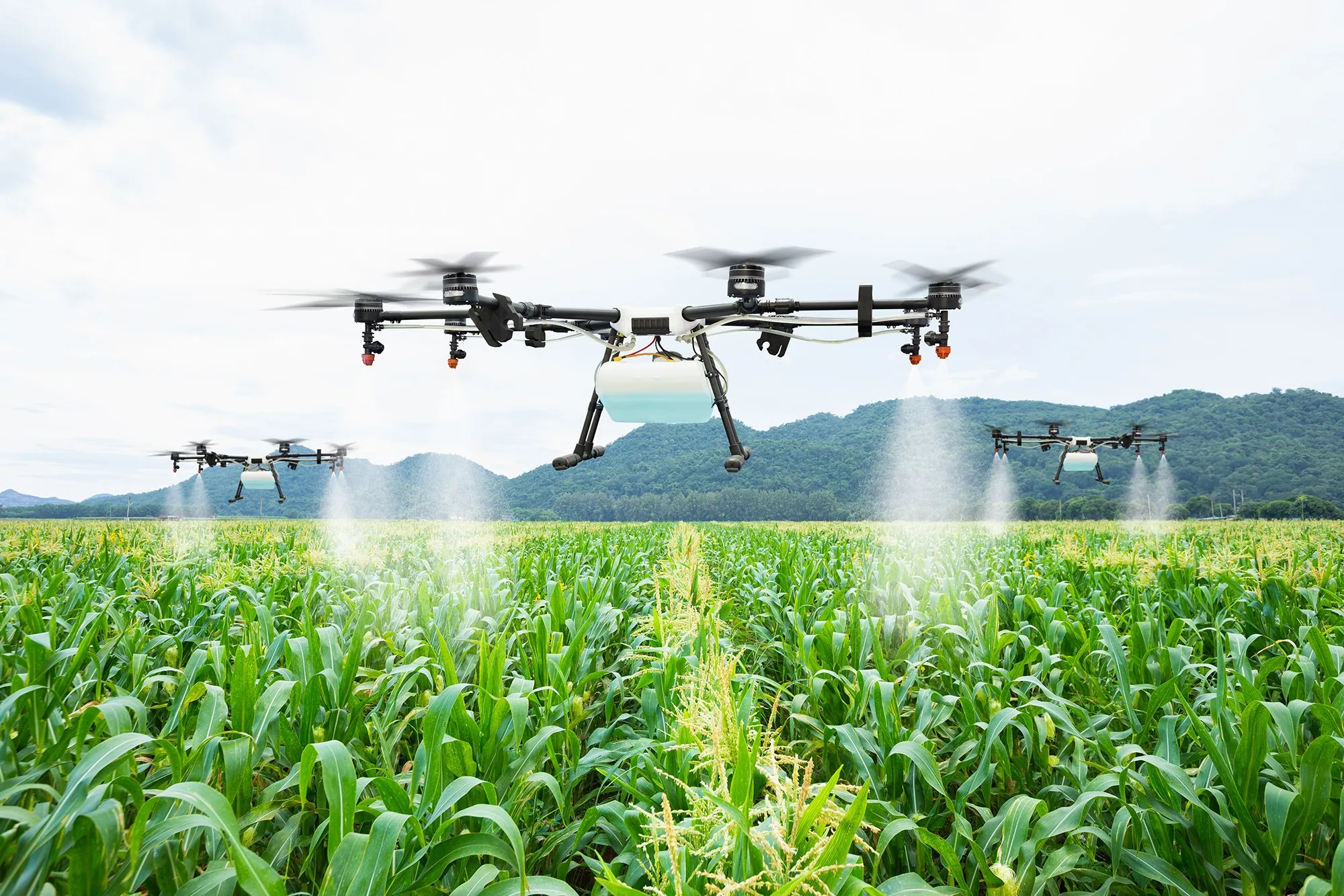 Commercial Drone Expansion in Chinese Agriculture