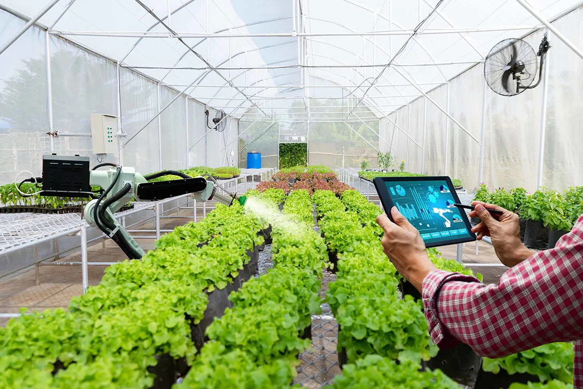 China Expands Green Technology Education to Power the Future of Sustainable Innovation