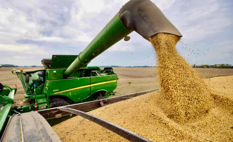 China’s Soybean Slowdown Hits U.S. Farmers Hard as Trade Tensions Rise Again