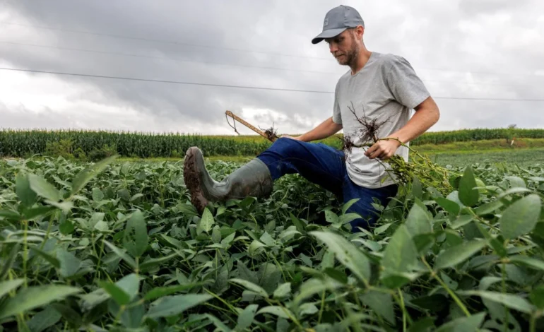 How Soybean Troubles and High-Level Talks Shape Today’s US–China Relations