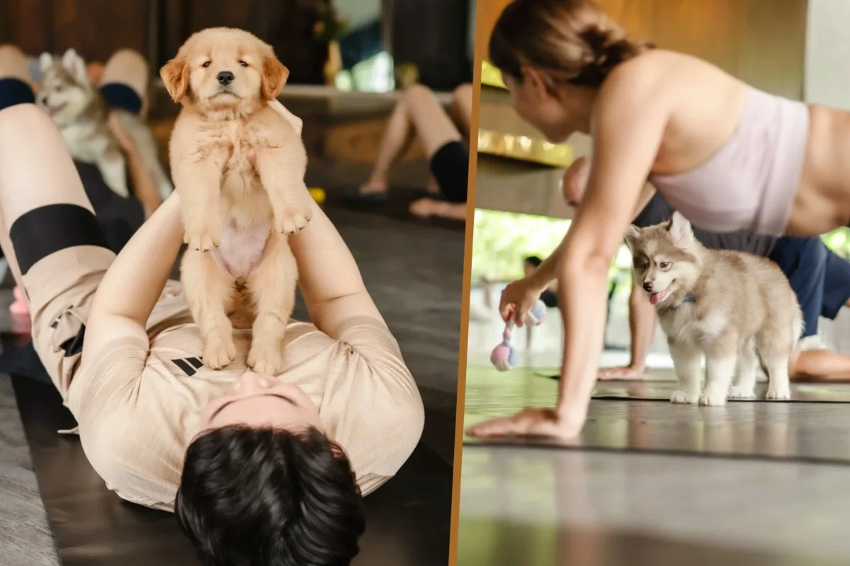 Bangkok Puppy Yoga Studio Turns Exercise into a Stress Relieving Experience