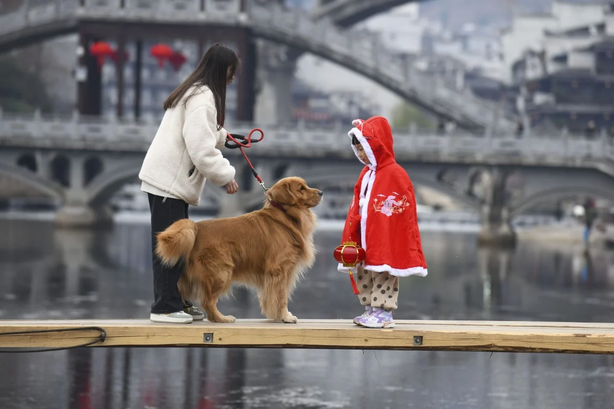 China’s Service Economy Gains Momentum as Travellers Choose Pets and Personalised Experiences