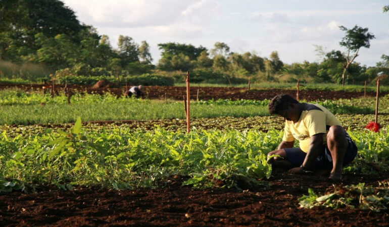 China Emerges as Leading Partner for Small Island States