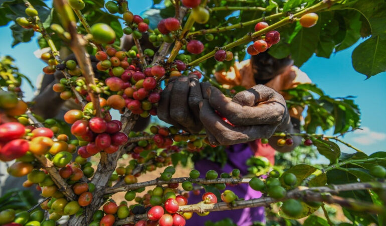 China Kenya Duty Free Deal Deepens Trade Shift as US Pressure Grows