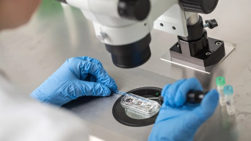 Chinese biotech firm deploys AI chromosome testing to accelerate IVF procedures and tap rising fertility demand