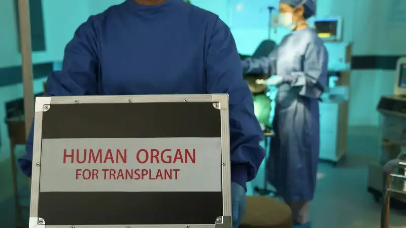 Chinese Scientists Develop Organ Freezing Method That Could Transform Global Transplants